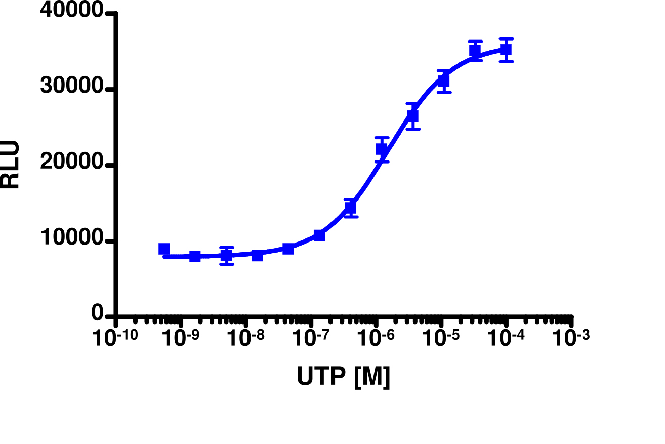 PathHunter® Mouse P2RY6 β-Arrestin Stable Cell Line Assay (U2OS)