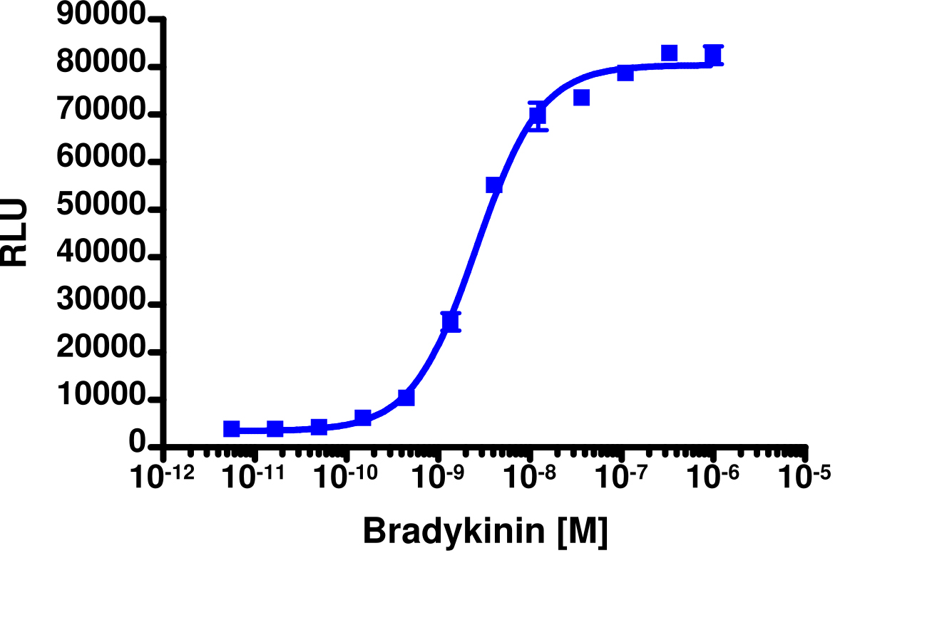 PathHunter® Human BDKRB2 Stable Cell Line Activated GPCR Internalization Assay (U2OS)