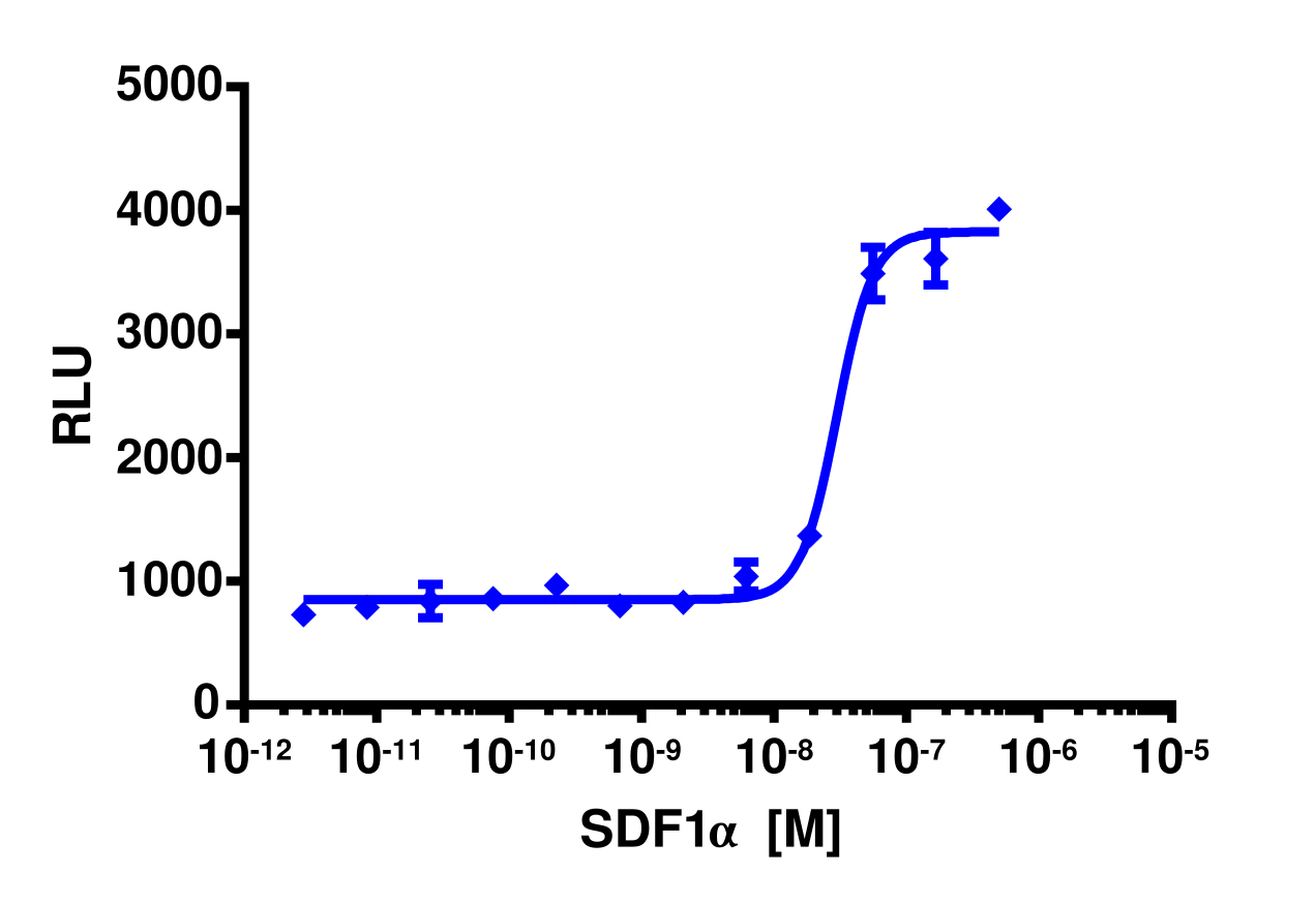 PathHunter® Human SDF-1 alpha (CXCR7) Activated GPCR Internalization Cell-Based Assay Kit (U2OS)