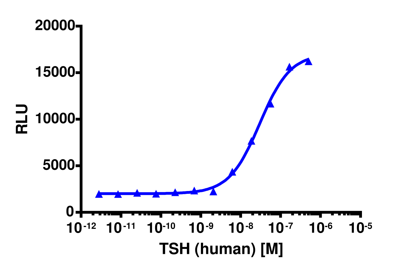 PathHunter® Human TSHR(L) β-Arrestin Stable Cell Line Assay (U2OS)