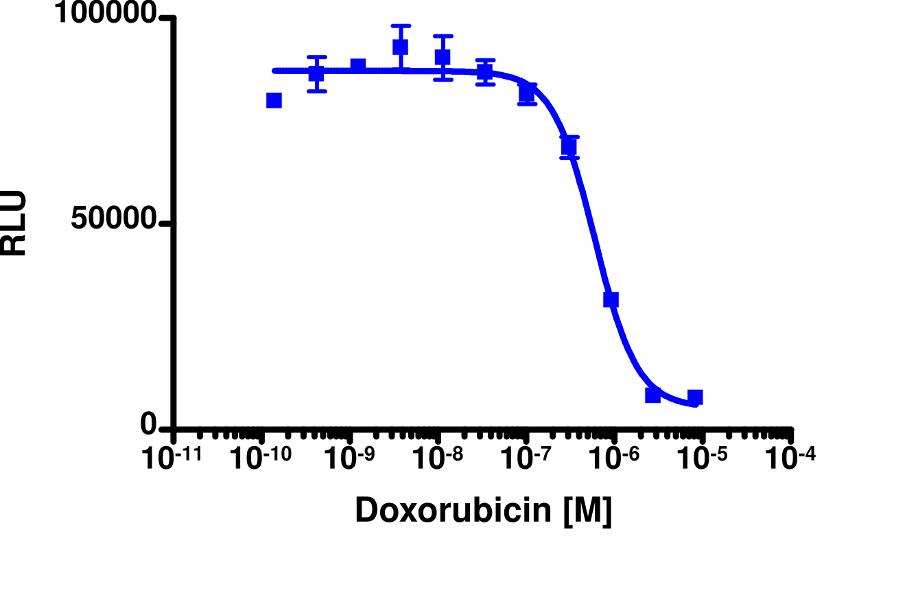 PathHunter® Human CDC25A Degradation Cell-Based Assay Kit (U2OS)