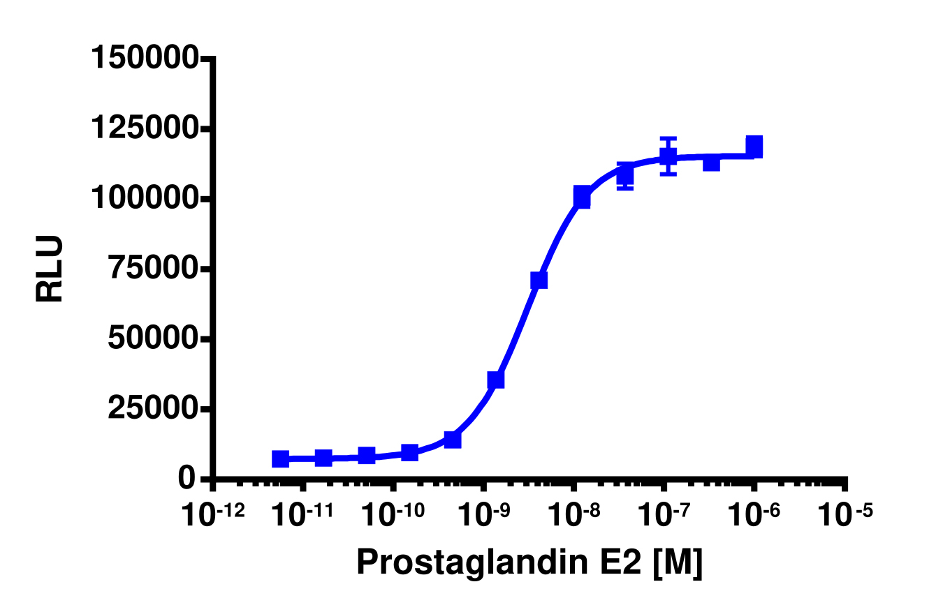 PathHunter® Human PTGER4 Stable Cell Line Activated GPCR Internalization Assay (U2OS)