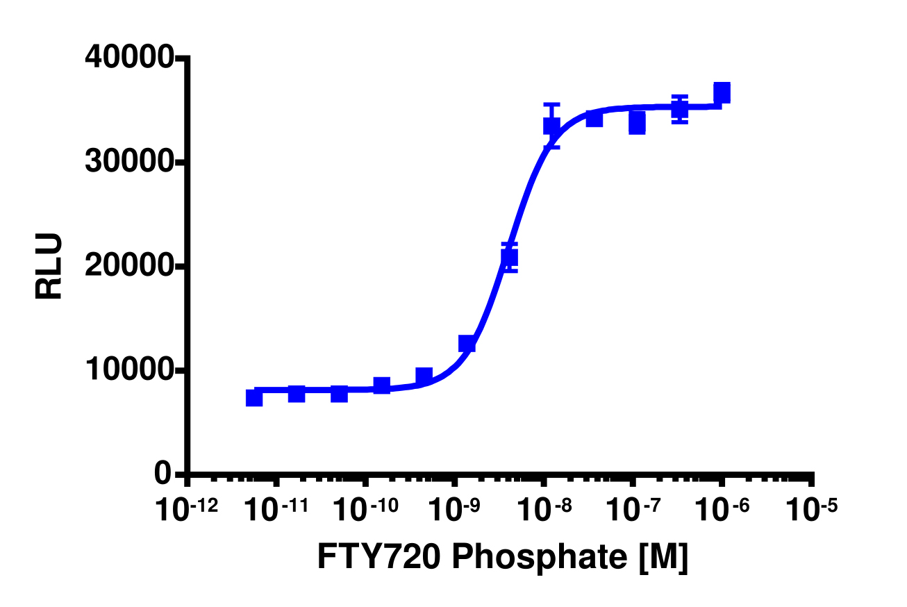 PathHunter® Human S1P1 (EDG1) Stable Cell Line Total GPCR Internalization Assay (HEK 293)