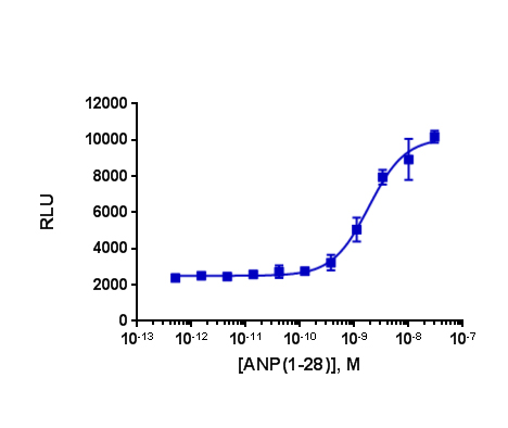 HitHunter® Human NPR1 cGMP Stable Cell Line Assay (CHO-K1)