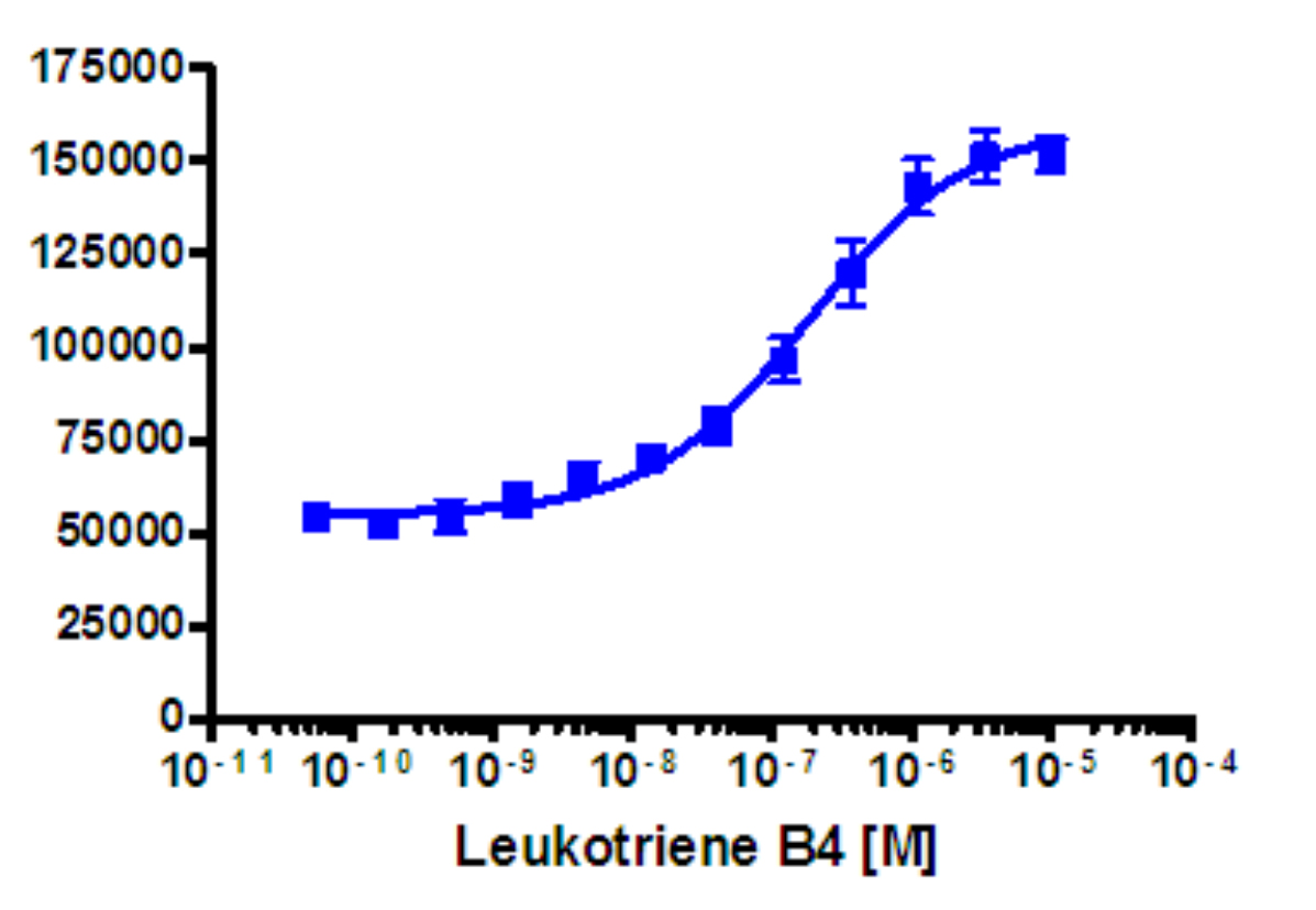 PathHunter® Human LTB4R Stable Cell Line Total GPCR Internalization Assay (U2OS)