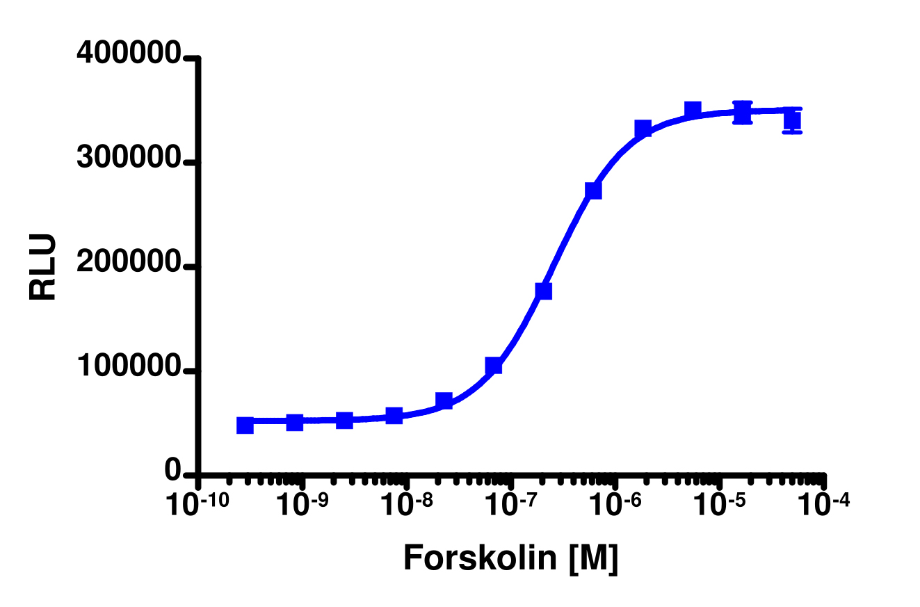 PathHunter® Human TORC2 (CRTC2) Stable Cell Line Nuclear Translocation Assay (U2OS)