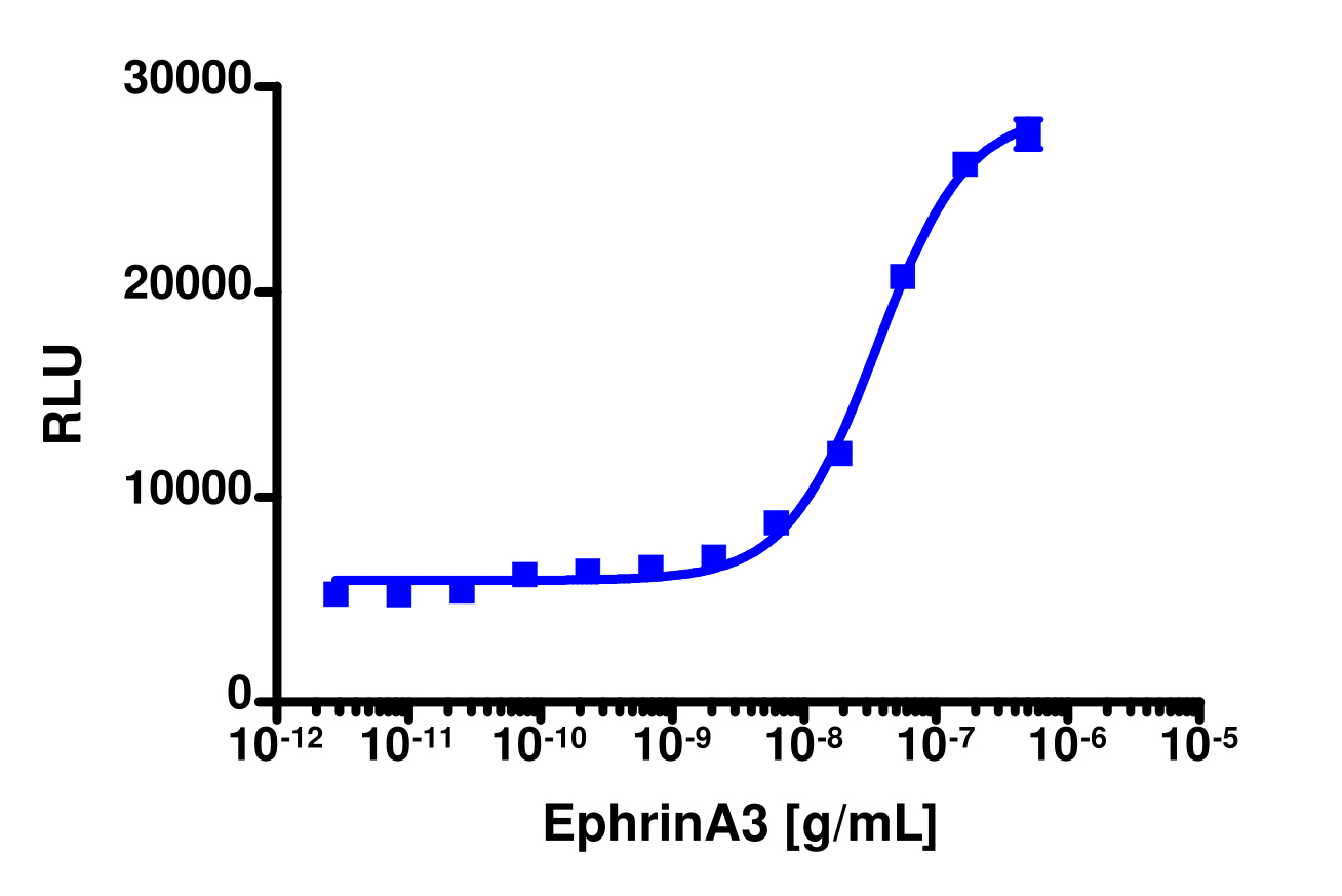 PathHunter® Human EphA5 Functional Kinase Cell-Based Assay Kit (U2OS)