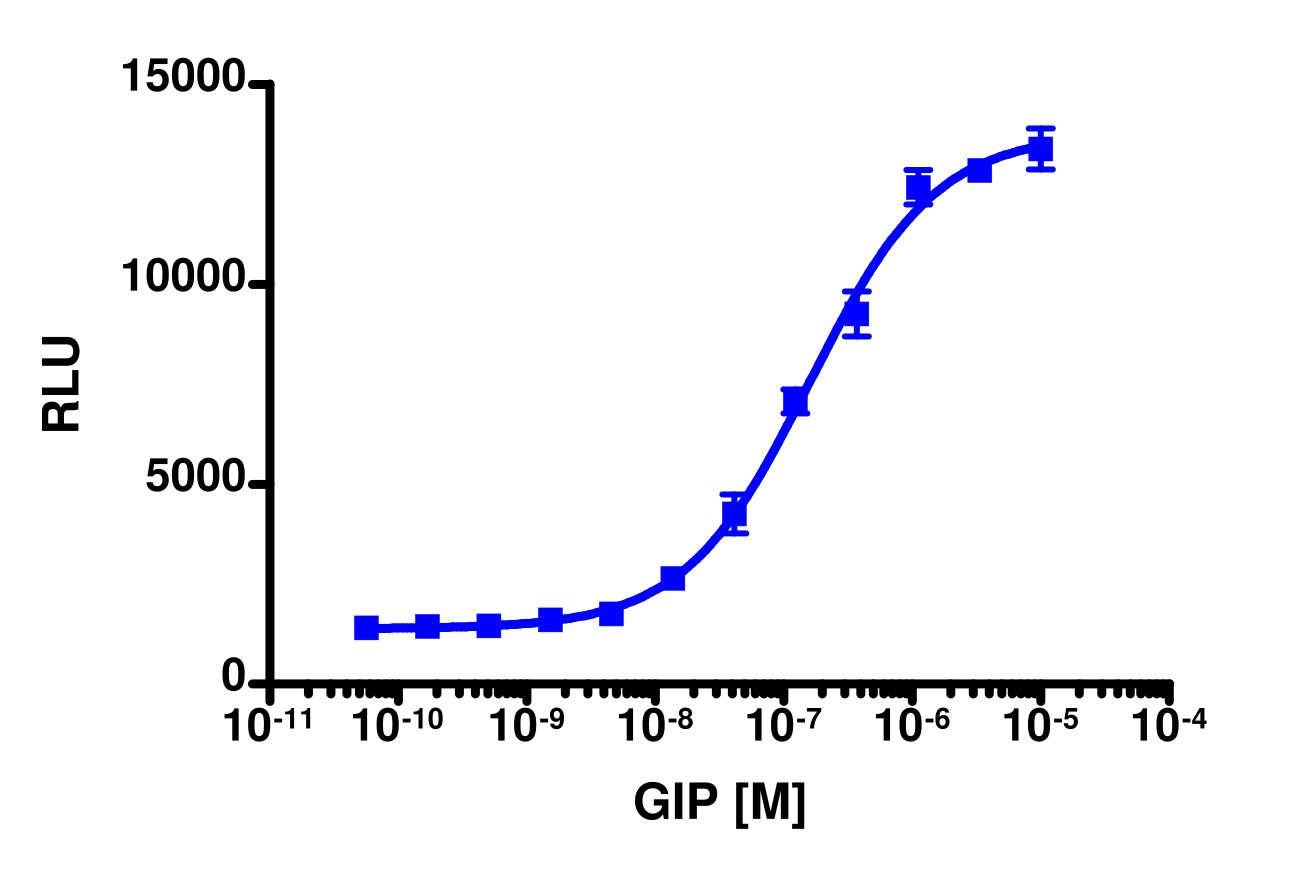 PathHunter® Mouse GIP (GIPR) β-Arrestin Stable Cell Line Assay (U2OS)