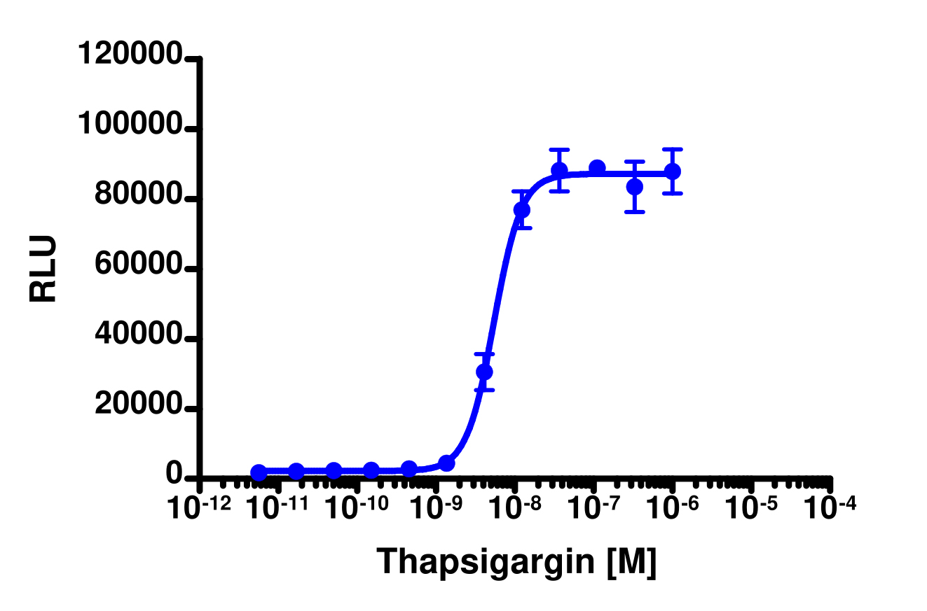 PathHunter® Human XBP1 Nuclear Translocation Cell-Based Assay Kit (U2OS)
