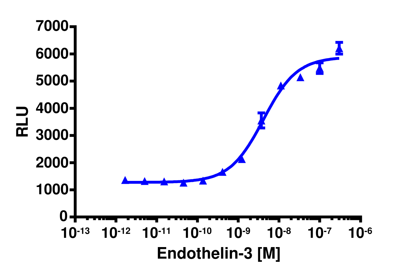PathHunter® Human EDNRB Stable Cell Line Total GPCR Internalization Assay (U2OS)