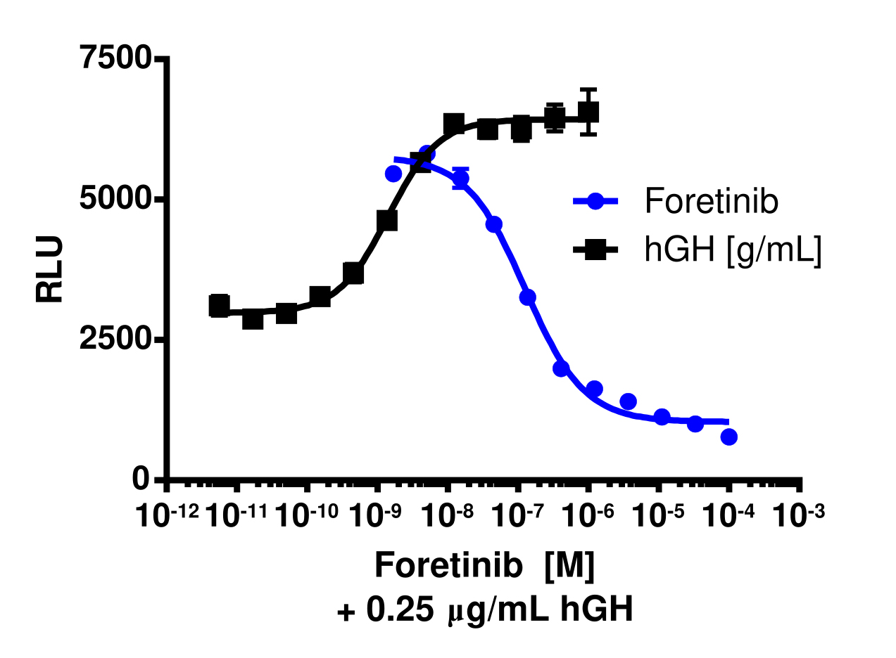 PathHunter® Human Blk Kinase Activity Cell-Based Assay Kit (U2OS)