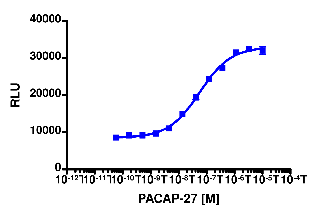 PathHunter® Human ADCYAP1R1 (PAC1) Total GPCR Internalization Cell-Based Assay Kit (U2OS)