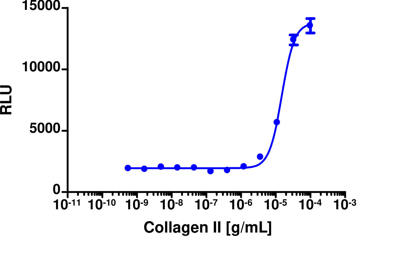 PathHunter® Human DDR1 Stable Cell Line Functional Kinase Assay (U2OS)