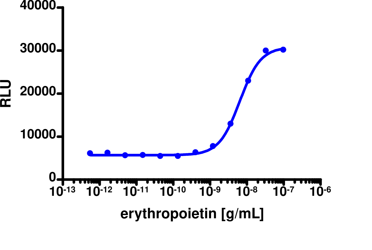 PathHunter® Human EpoR-JAK2 Functional Kinase Cell-Based Assay Kit (U2OS)