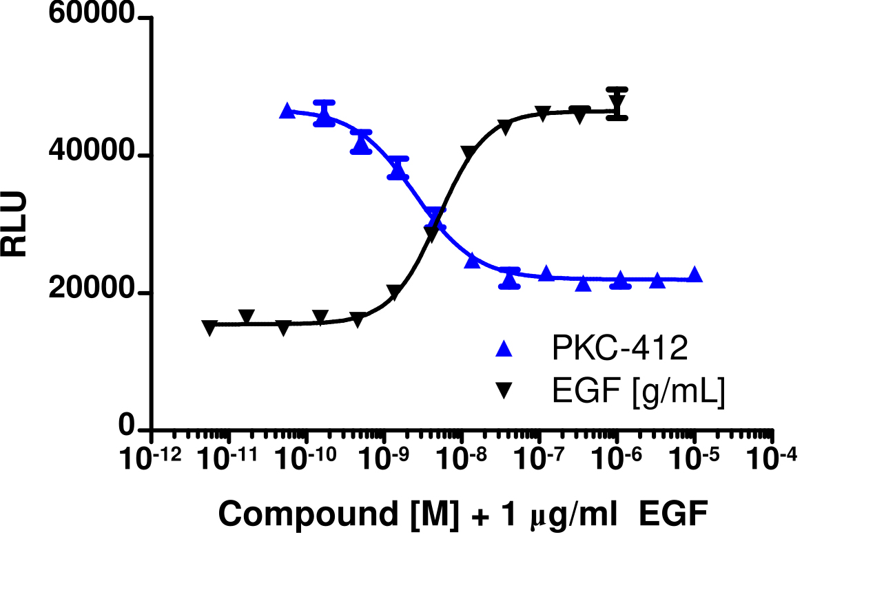 PathHunter® Human FLT3 Stable Cell Line Kinase Activity Assay (U2OS)