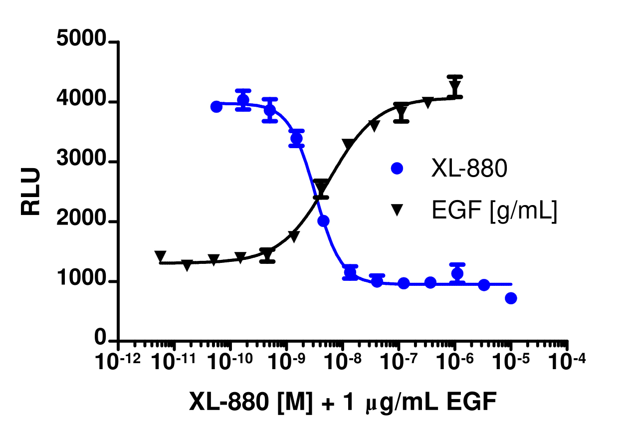 PathHunter® Human KDR Stable Cell Line Kinase Activity Assay (U2OS)