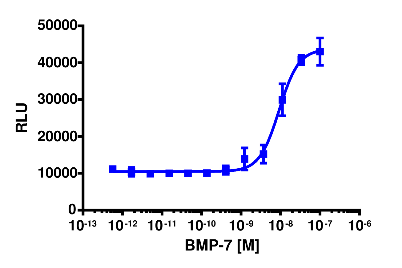 PathHunter® Human BMP-7 (ACVR2/ACVR1) Dimerization Cell-Based Assay Kit (U2OS)