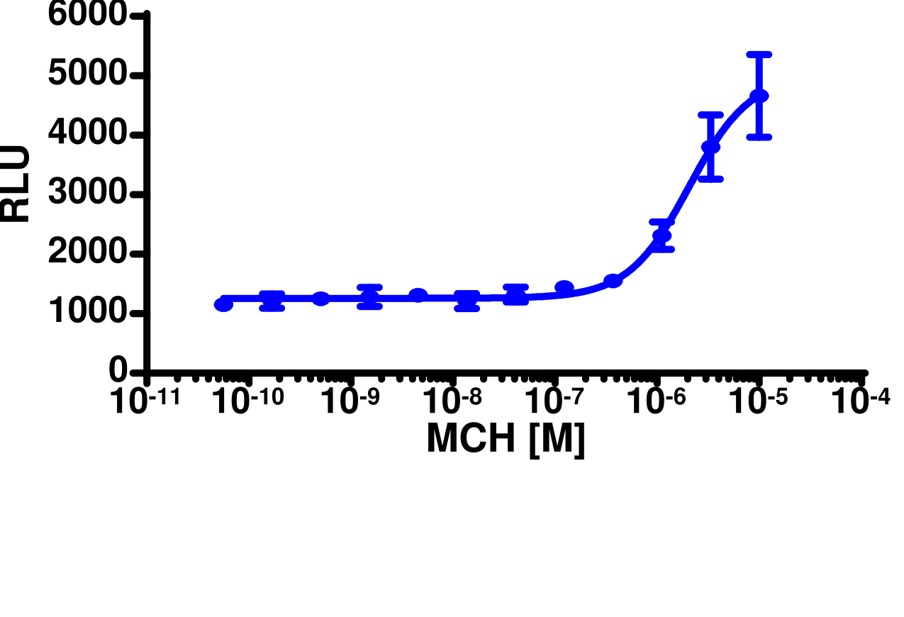 PathHunter® Human MCHR1 Stable Cell Line Total GPCR Internalization Assay (U2OS)