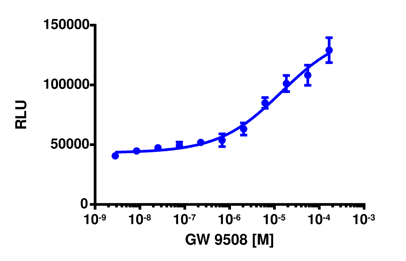 PathHunter® Human FFAR1 (GPR40) β-Arrestin Cell-Based Assay Kit (DLD1)