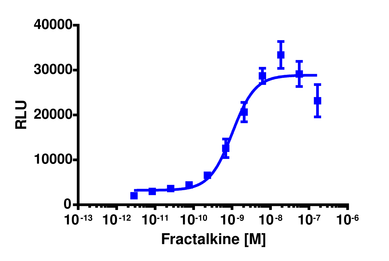 PathHunter® Human Fractalkine (CX3CR1) β-Arrestin Stable Cell Line Assay (CHO-K1)