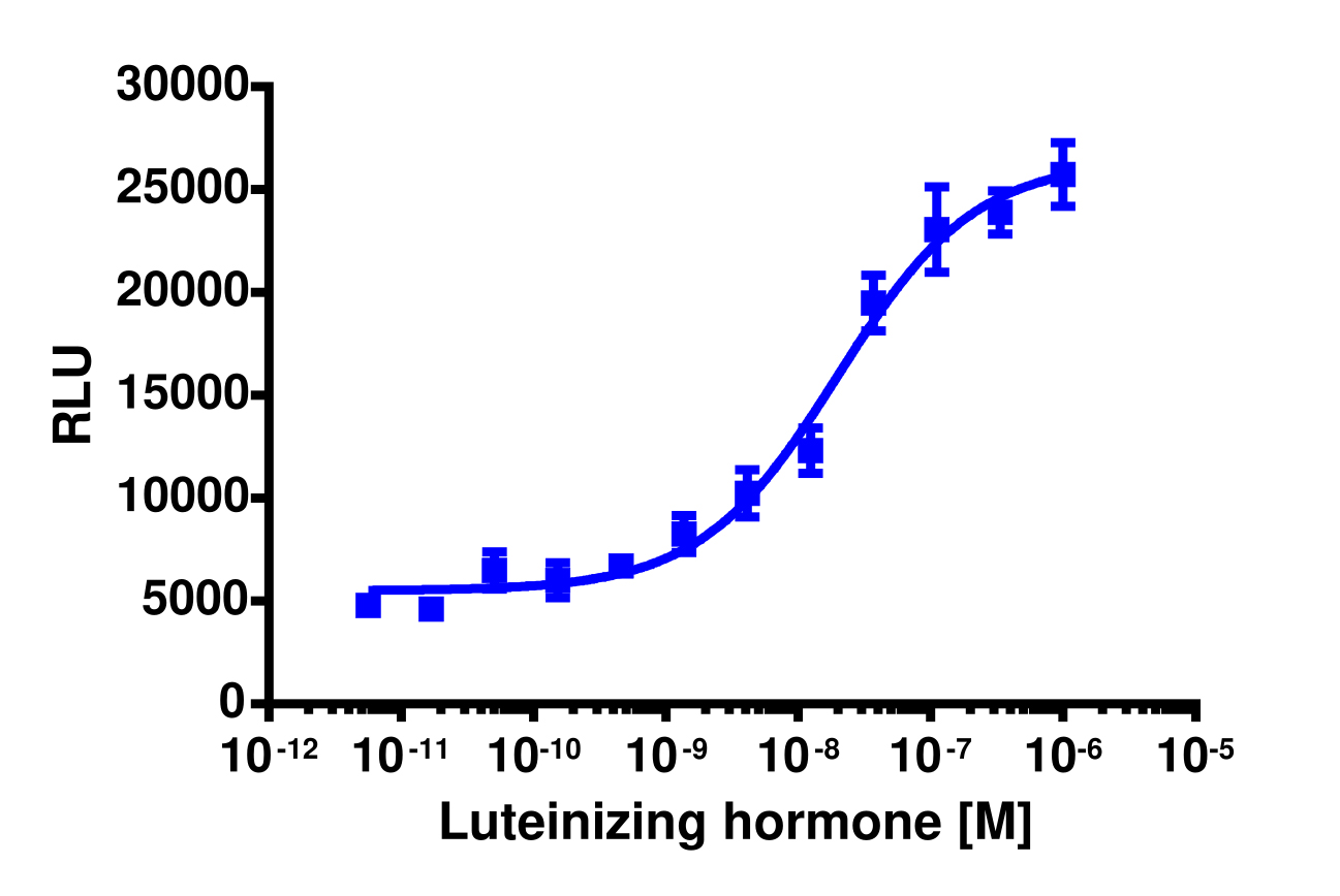 PathHunter® Human LHCGR β-Arrestin Stable Cell Line Assay (CHO-K1)