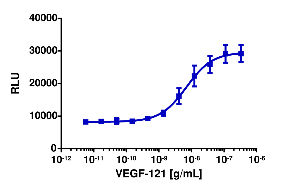 PathHunter® Human VEGF (KDR/KDR) Stable Cell Line Dimerization Assay (HEK 293)