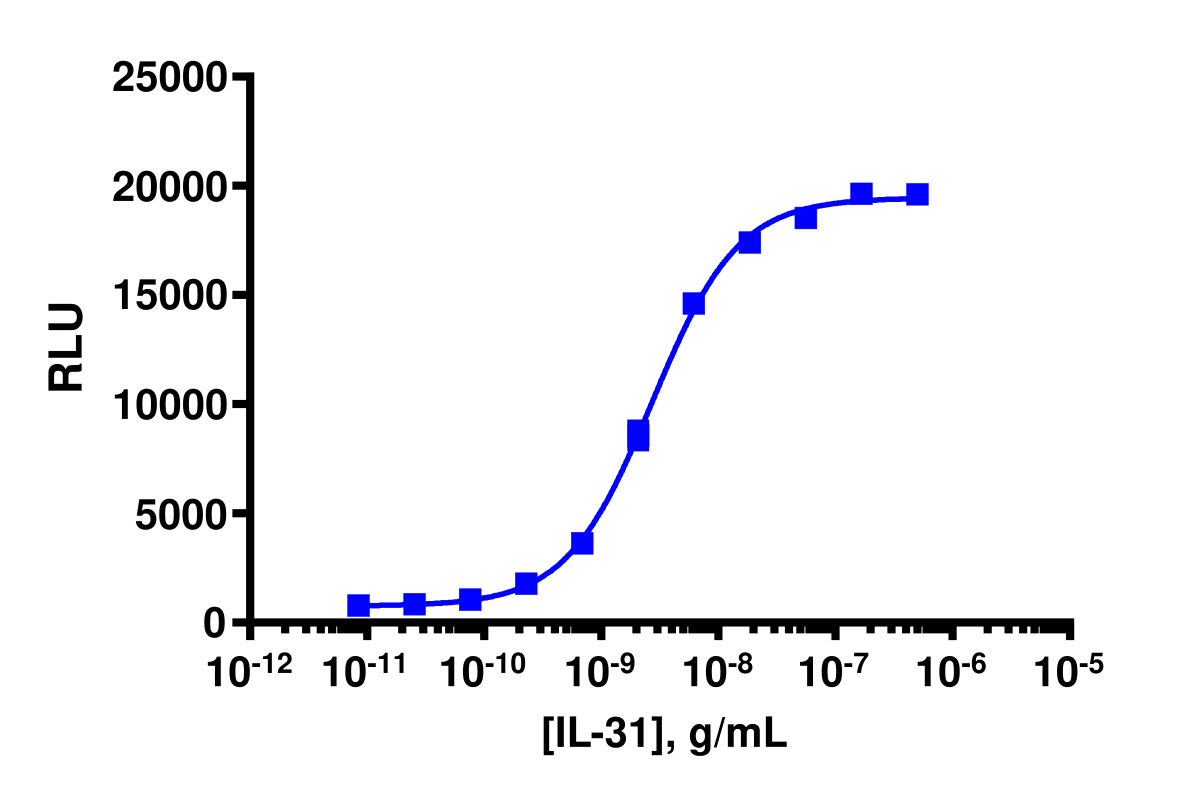 PathHunter® Human IL-31 (OSMRb/IL31R) Stable Cell Line Dimerization Assay (U2OS)