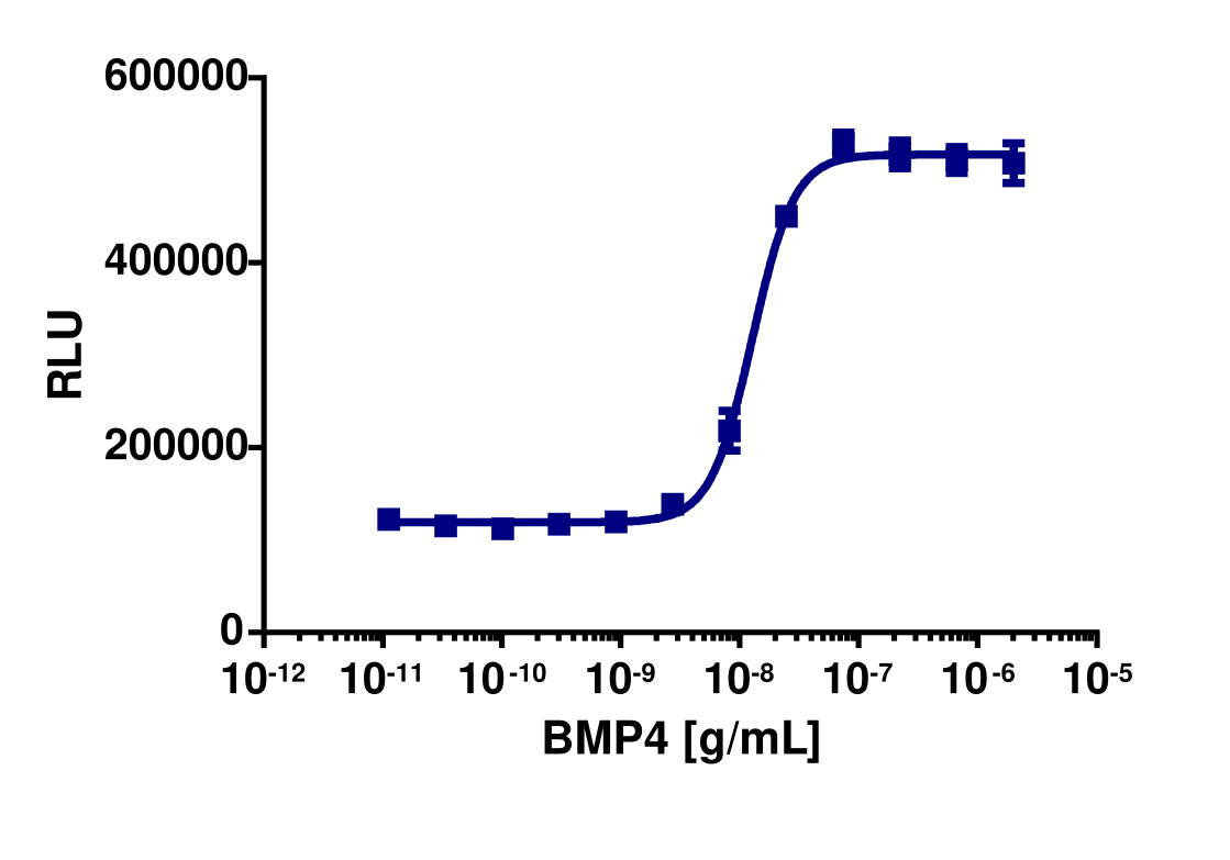 PathHunter® Human BMP-4 (BMPR1A/BMPR2) Stable Cell Line Dimerization Assay (U2OS)