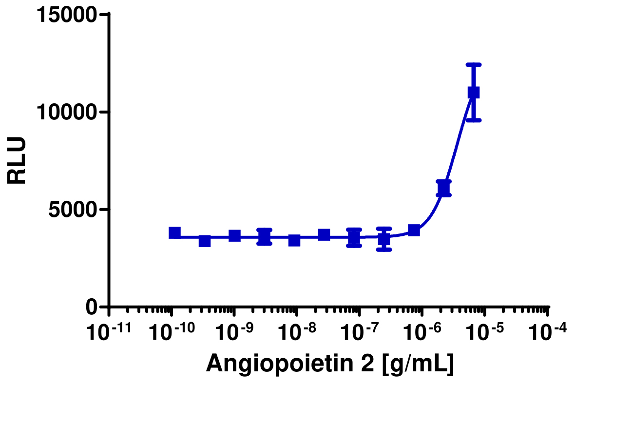 PathHunter® Human Tie2 Stable Cell Line Functional Kinase Assay (HEK 293)