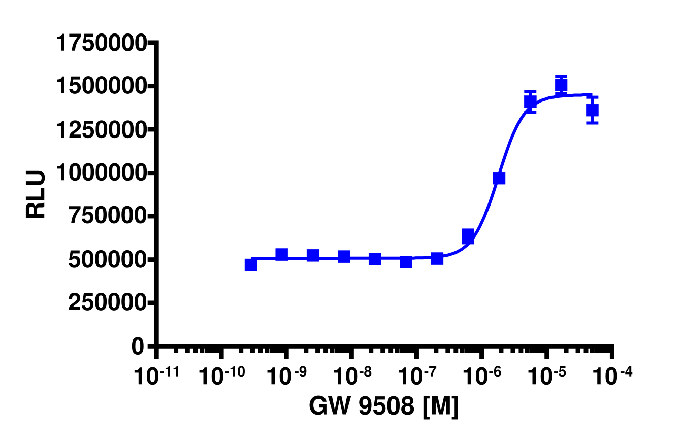 PathHunter® Rat GPR120 β-Arrestin Cell-Based Assay Kit (CHO-K1)