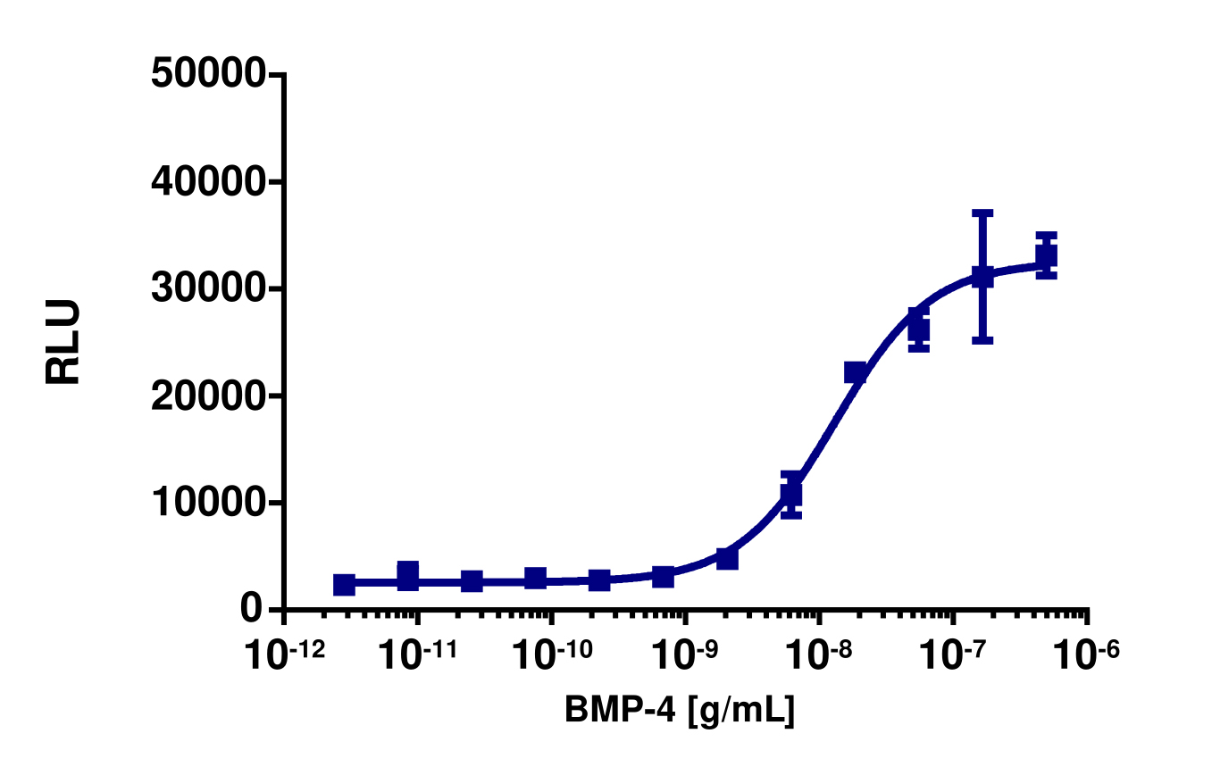 PathHunter® Human BMP-4 (BMPR1A/ACVR2) Stable Cell Line Dimerization Assay (U2OS)