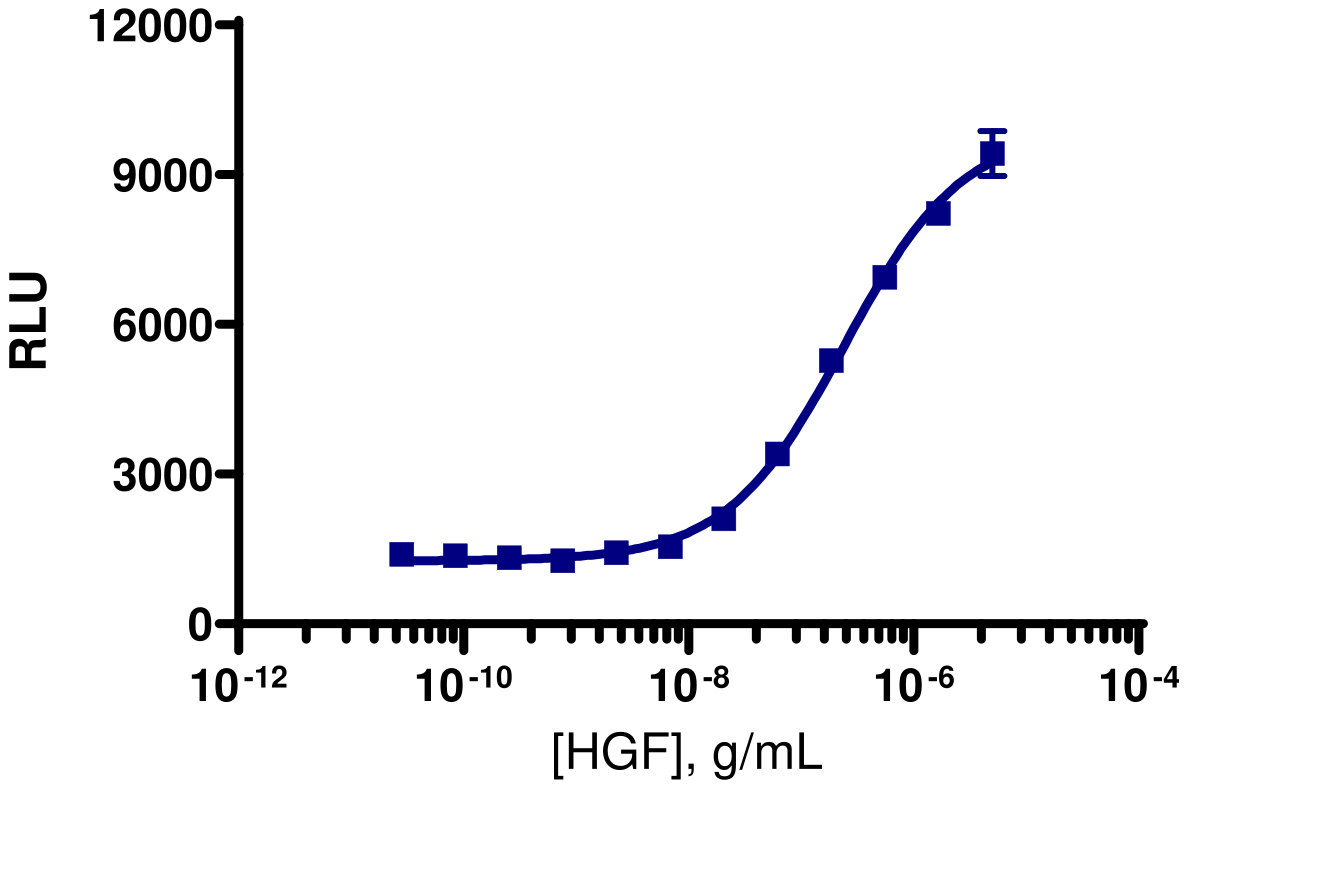 PathHunter® Human c-MET/c-MET Dimerization Stable Cell Line Assay (U2OS)