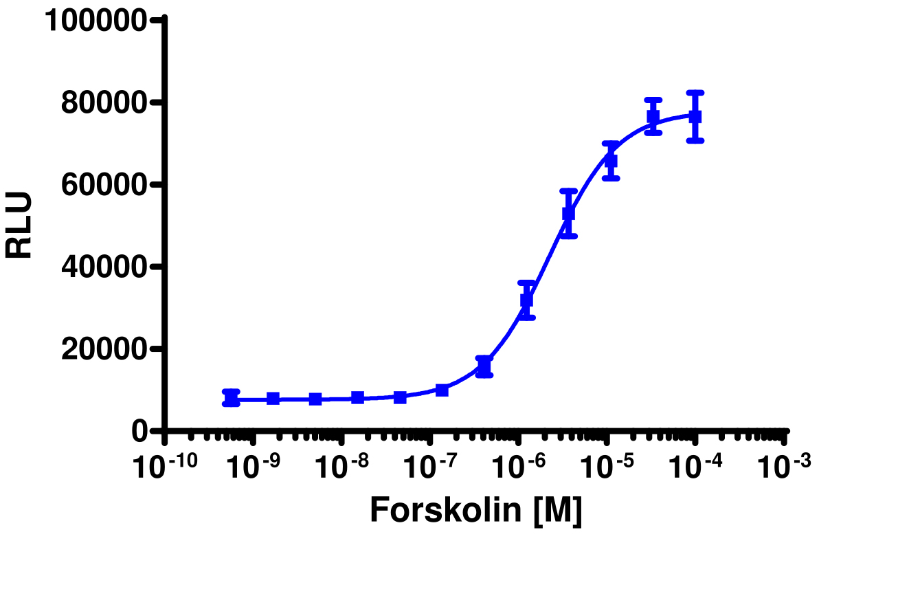 PathHunter® Human TORC3 (CRTC3) Nuclear Translocation Cell-Based Assay Kit (U2OS)