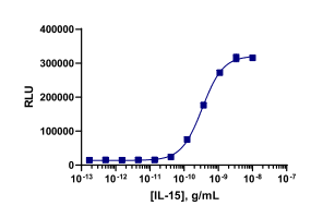 PathHunter® Human IL-15 (IL-15R (IL2RB/IL2RG)) Signaling STAT5 Reporter Stable Cell Line Assay (REH)