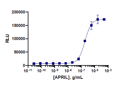 PathHunter® Human APRIL (BCMA) Signaling Reporter Cell-Based Assay Kit (K562)