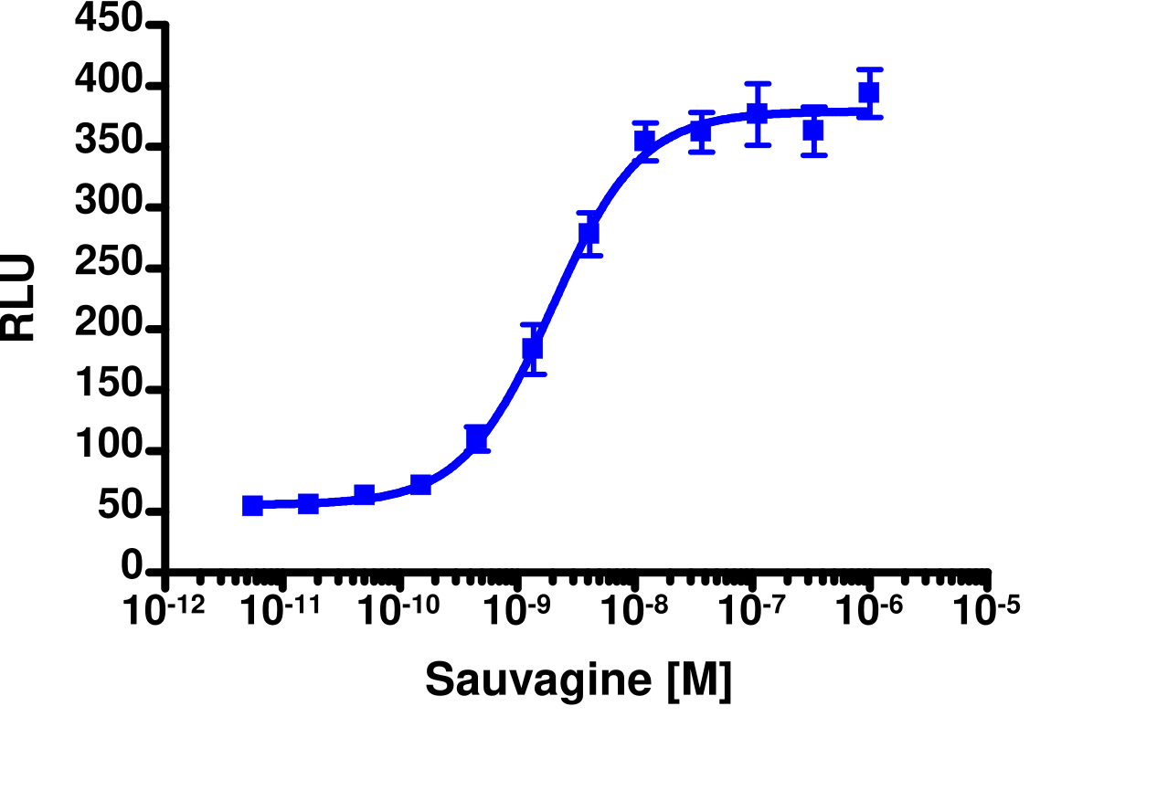 cAMP Hunter™ Human CRHR2 Gs Stable Cell Line Assay (CHO-K1)