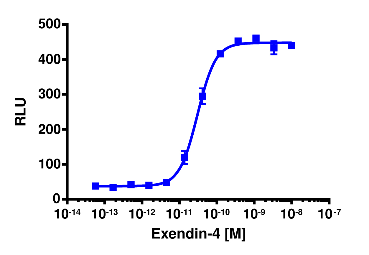 cAMP Hunter™ Human GLP-1 (GLP-1 Receptor) Gs Cell-Based Assay Kit (CHO-K1)