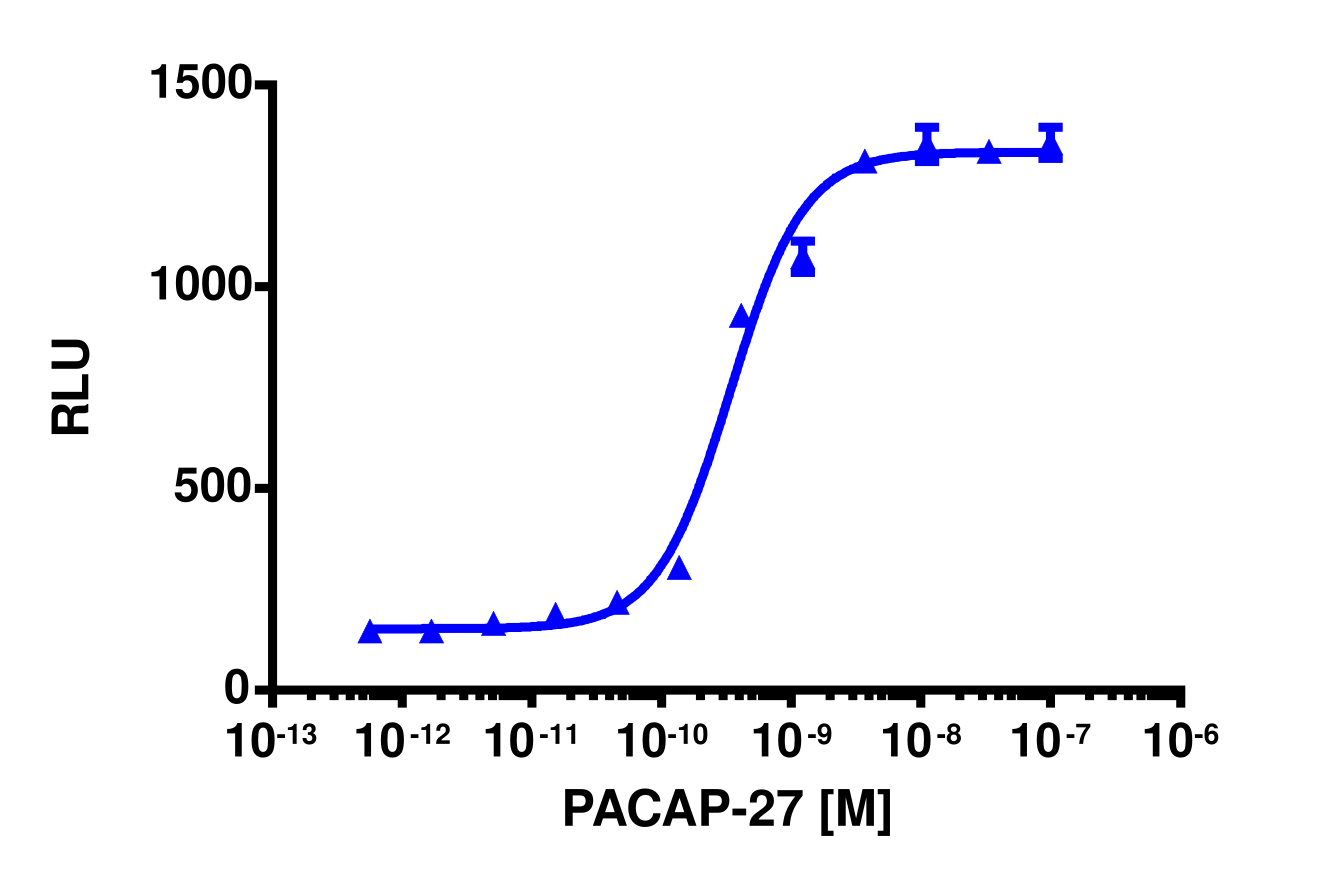 cAMP Hunter™ Human ADCYAP1R1 (PAC1) Cell-Based Assay Kit (CHO-K1)