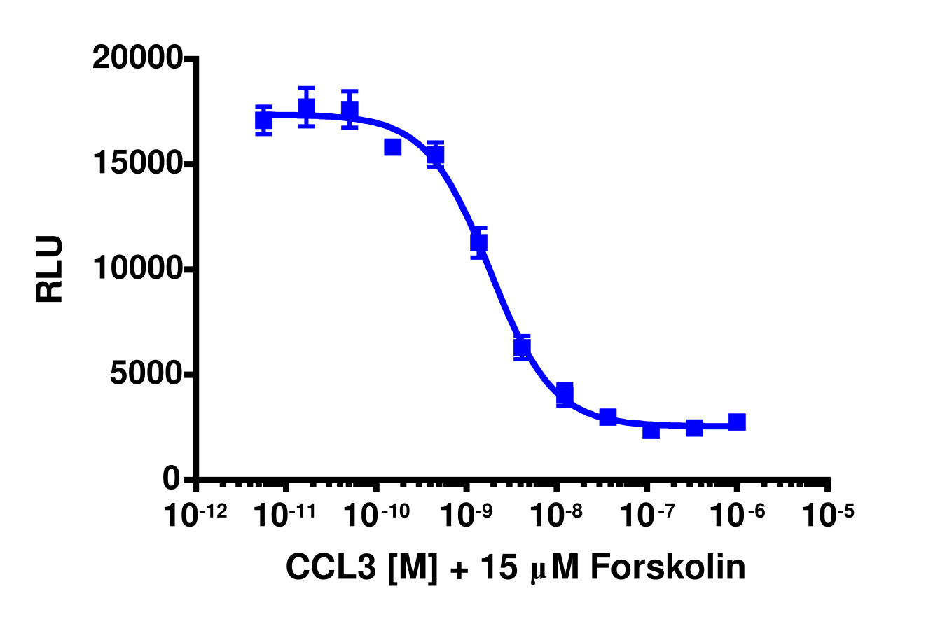 cAMP Hunter™ Human MIP-1 alpha (CCR5) Gi Cell-Based Assay Kit (CHO-K1)