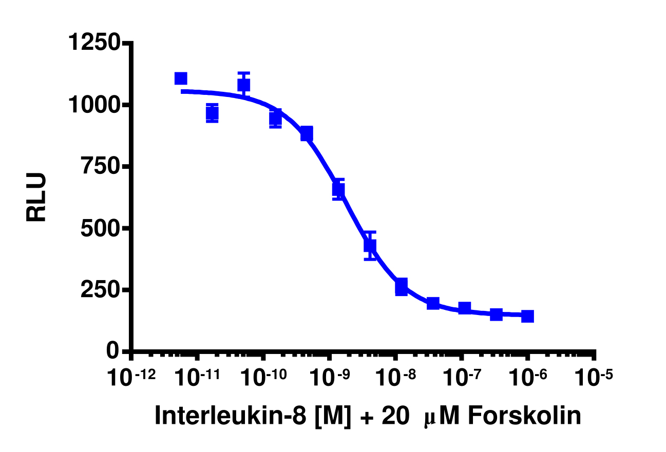 cAMP Hunter™ Human IL-8 (CXCR1) Gi Cell-Based Assay Kit (CHO-K1)