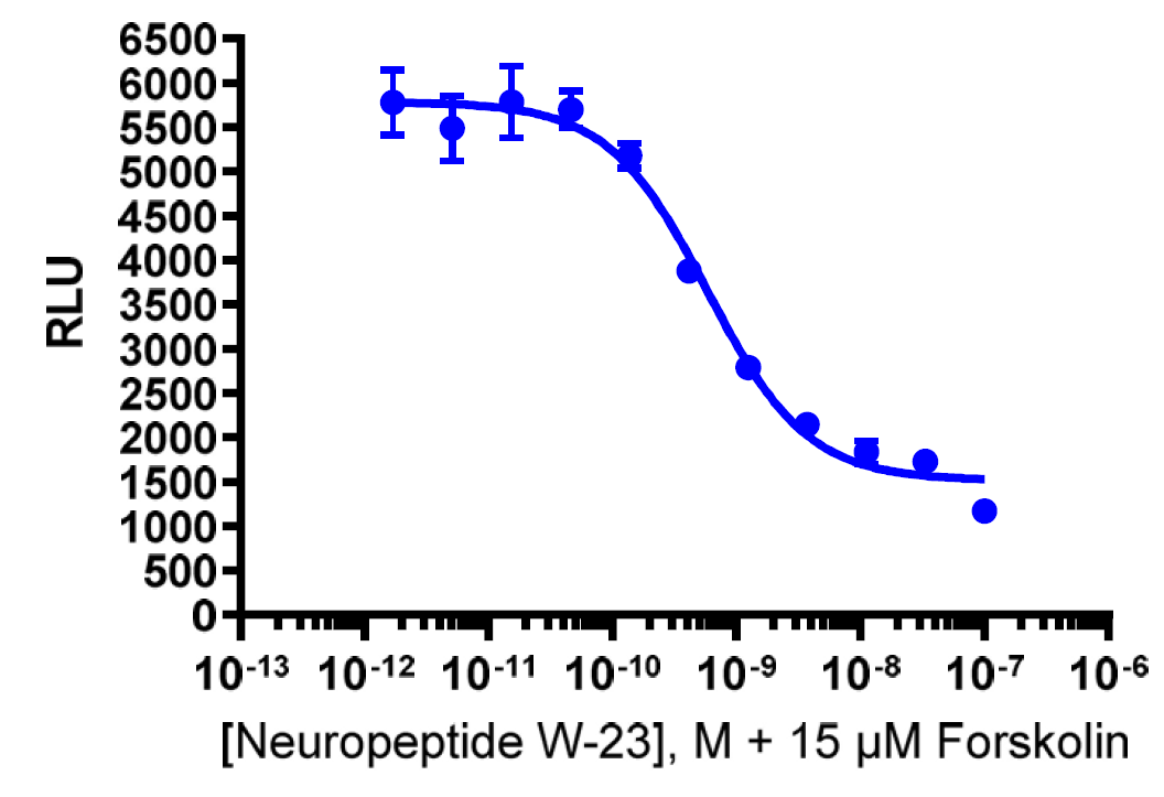 cAMP Hunter™ Human NPBWR1 Gi Cell-Based Assay Kit (CHO-K1)
