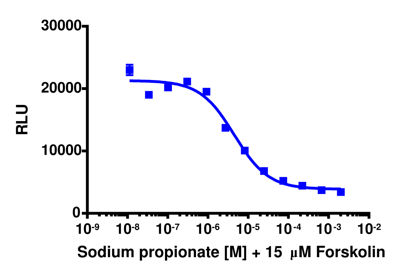 cAMP Hunter™ Human FFAR3 (GPR41) Gi Stable Cell Line Assay (CHO-K1)