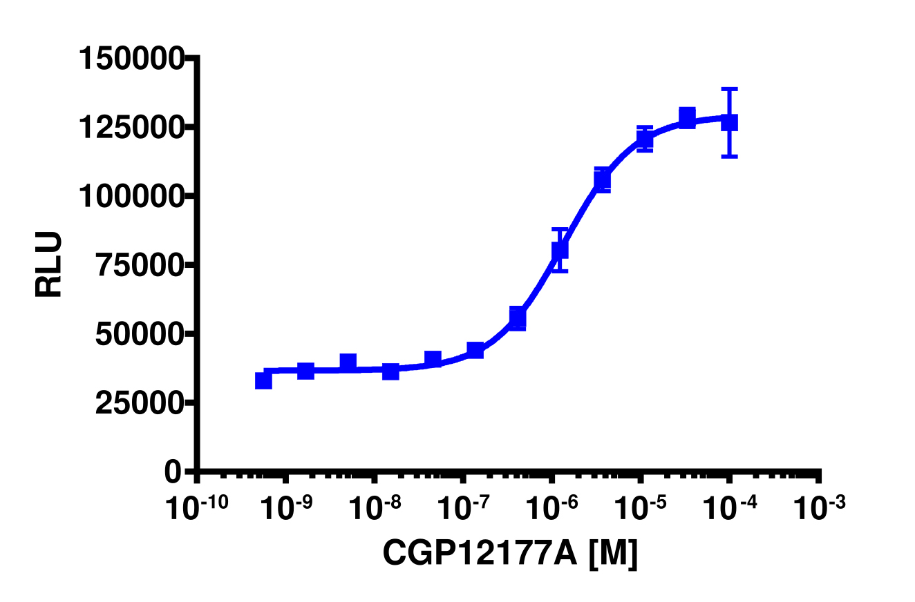 cAMP Hunter™ Human ADRB3 Gs Stable Cell Line Assay (DLD1)