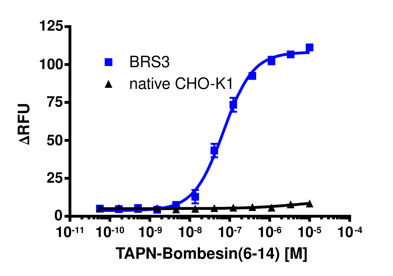 BRS3 Gq Calcium Signaling Cell-Based Assay Kit (CHO-K1)