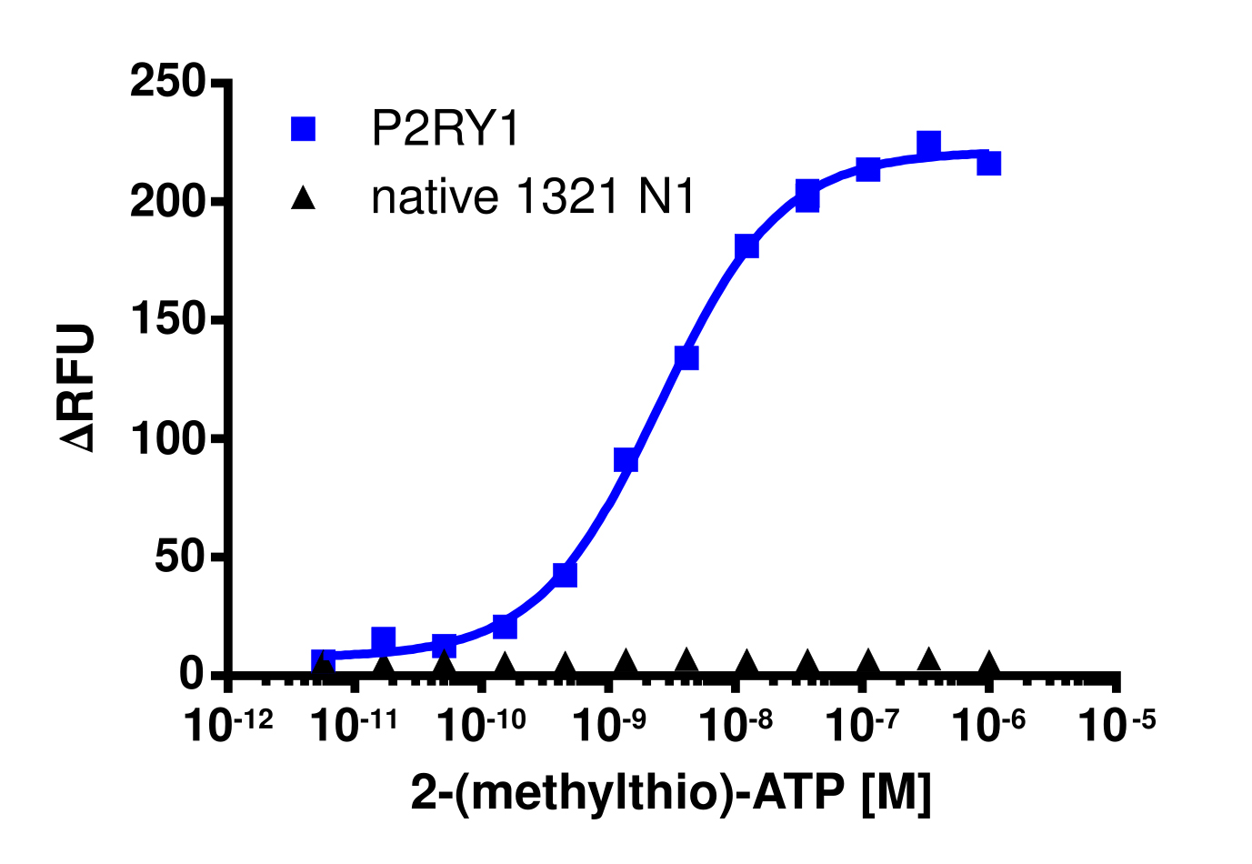 P2RY1 Gq Stable Cell Line Calcium Signaling Assay (1321N1)