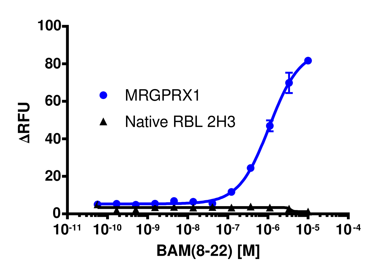 MRGPRX1 Gq Stable Cell Line Calcium Signaling Assay (RBL-2H3)
