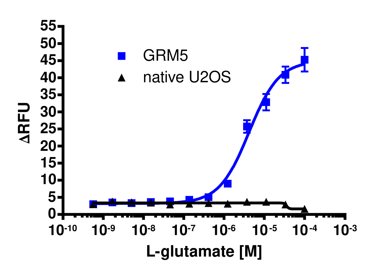 mGlu5 (GRM5) Gq Calcium Signaling Cell-Based Assay Kit (U2OS)