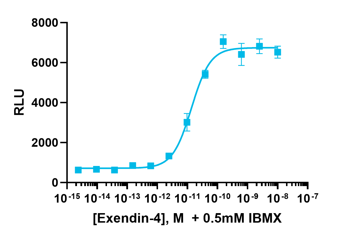 cAMP Hunter™ Human GLP-1 (GLP-1 Receptor) Gs Cell-Based Assay Kit (HEK 293)