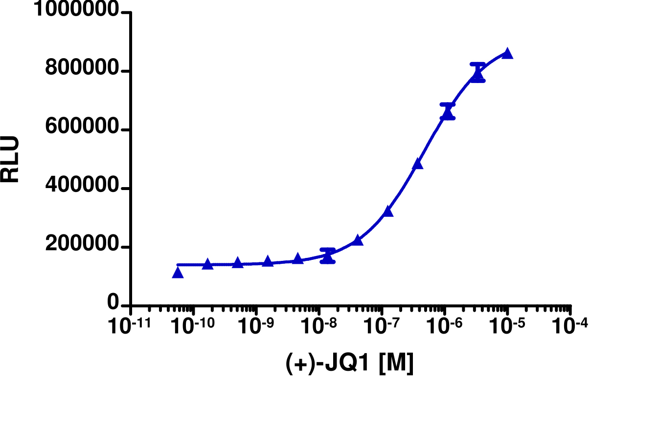 InCELL Hunter™ Human Brd4(1) Bromodomain Target Engagement Cell-Based Assay Kit (HEK 293)