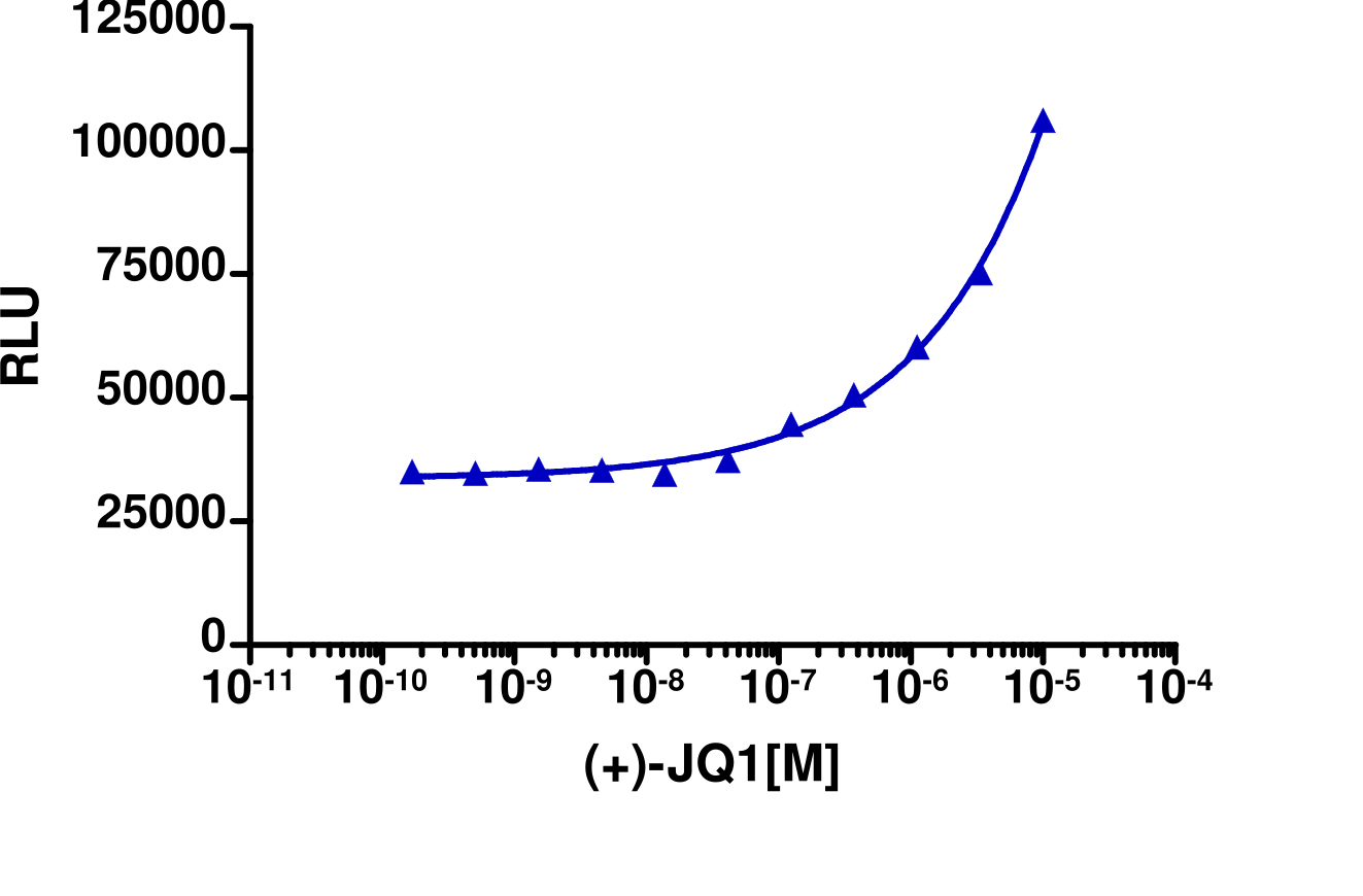 InCELL Hunter™ Human BrdT(1) Bromodomain Target Engagement Cell-Based Assay Kit (HEK 293)